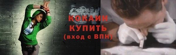 индика Покровск